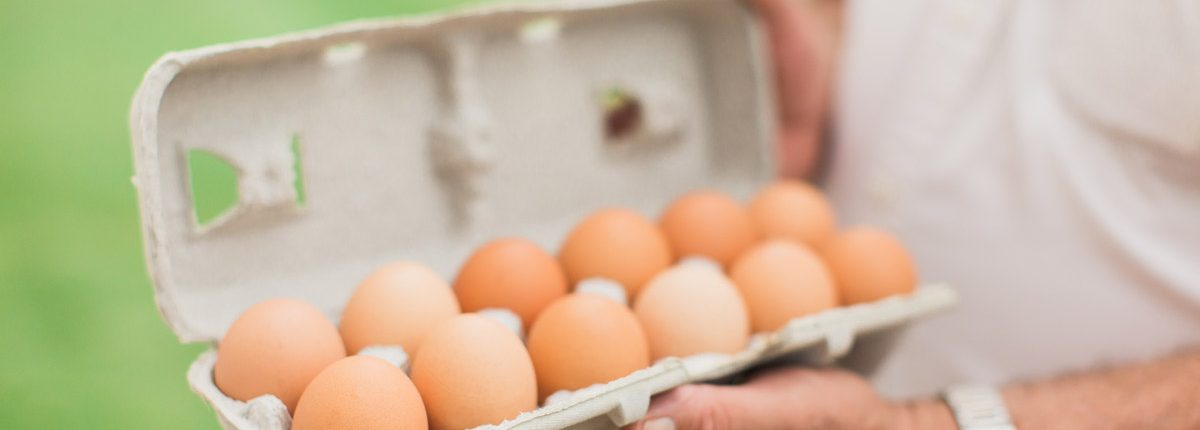 all natural, pastured eggs