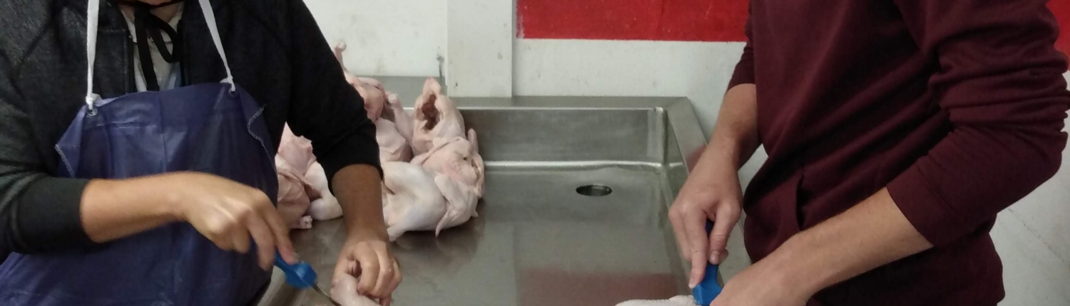 fresh chicken processing