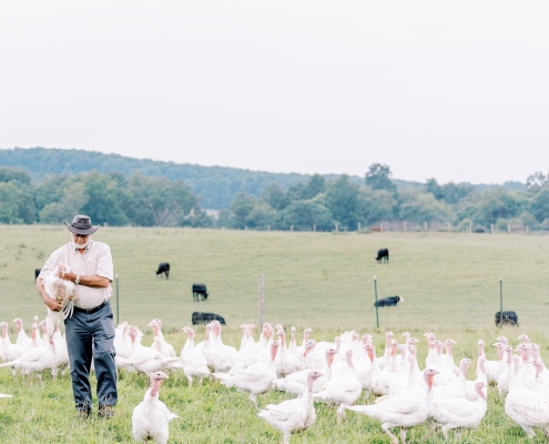 sunrise farms broiler chickens in field with farmer
