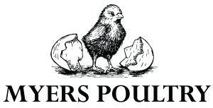 myers-poultry-logo-black-maynard Meyers Poultry Logo Chick with Cracked egg shell