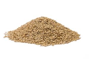 Wheat