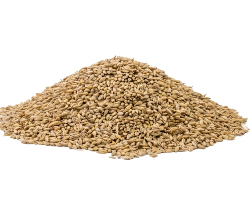 Wheat