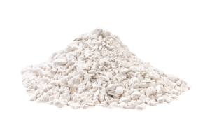 Oyster Shell