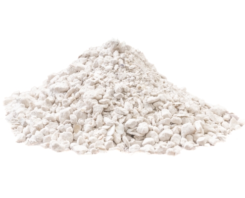 Oyster Shell