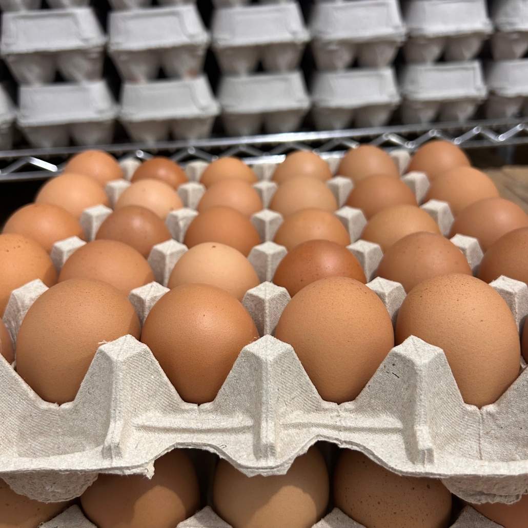 Flats of brown eggs