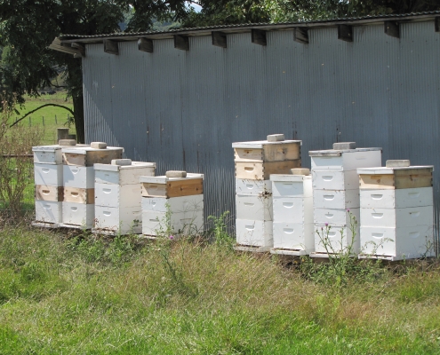 Bee Hive Boxes