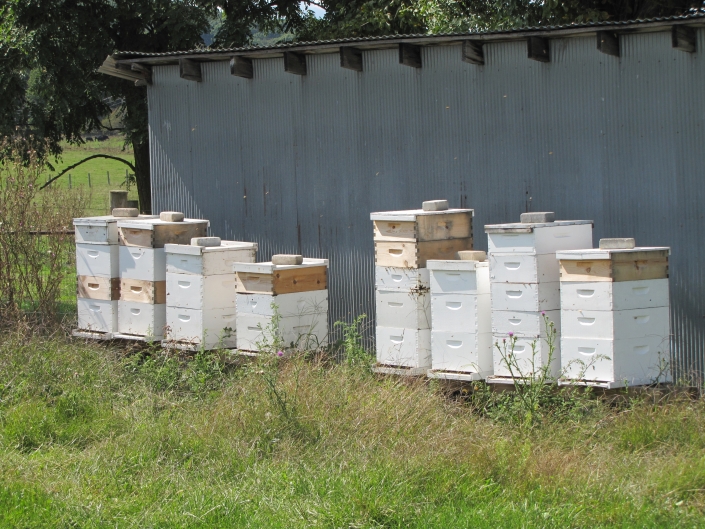 Bee Hive Boxes