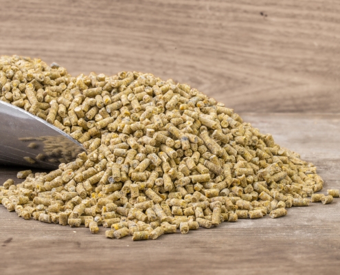 Layer Pellets