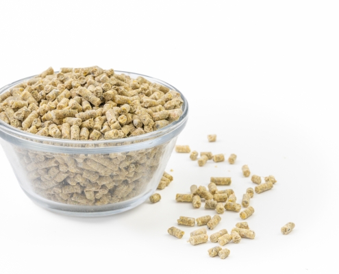 Layer Pellets