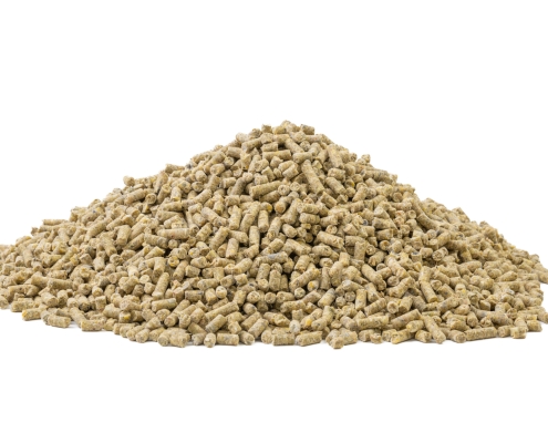 Layer Pellets