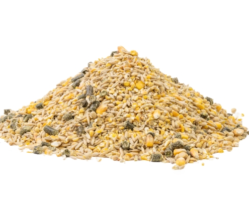 Cattle Feed