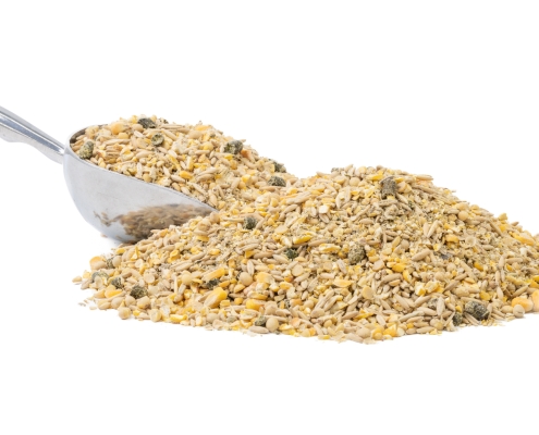 Cattle Feed with a scoop