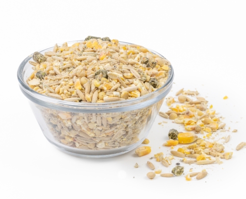 Cattle Feed in a bowl