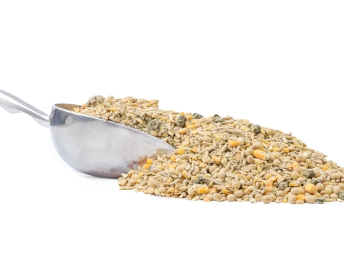 Goat Feed with a Scoop