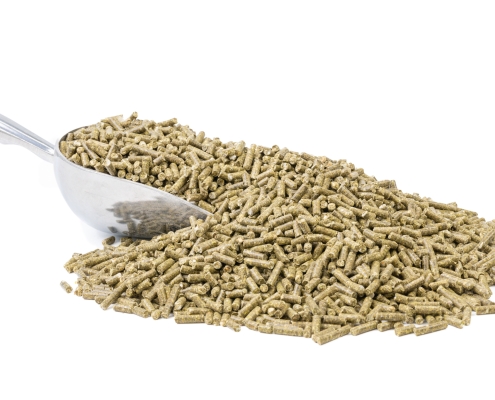 Rabbit Pellets - All Natural - Non-GMO - Sunrise Farms