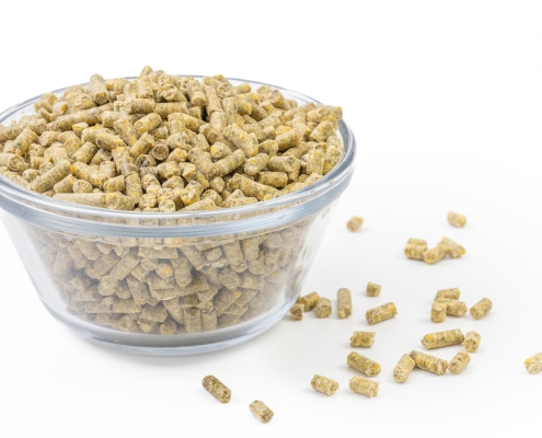 Kunekune Pellets in a bowl