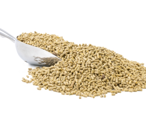Kunekune Pellets with a scoop