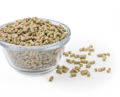 Soy Free Layer Pellets in a bowl