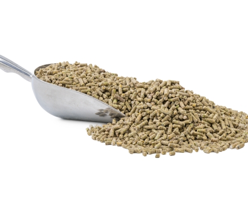 Soy Free Layer Pellets with a scoop