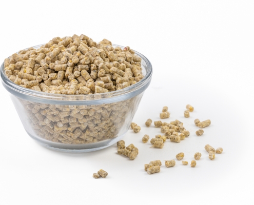 Swine Pellets Swine Pellets in a bowl