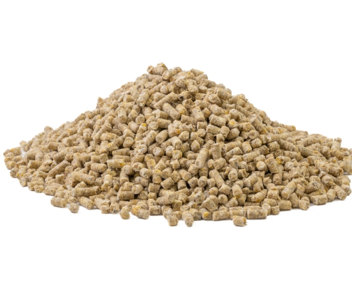 Swine Pellets Swine Pellets