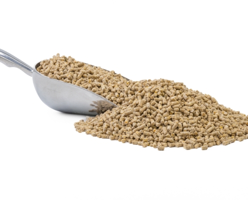 Swine Pellets Swine Pellets with a scoop