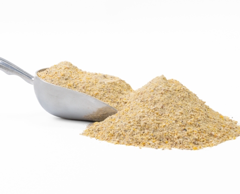 Turkey Starter Mash with a Scoop