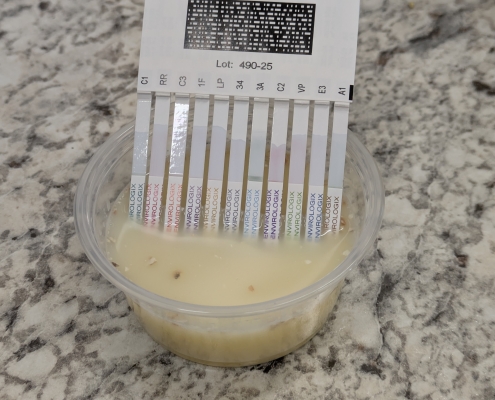 Test Strips Gathering Data