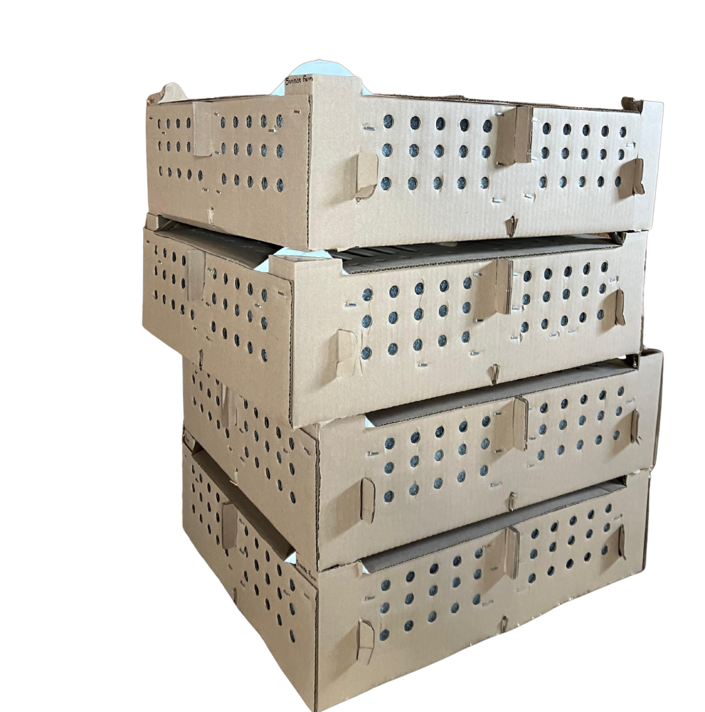 Chick Boxes