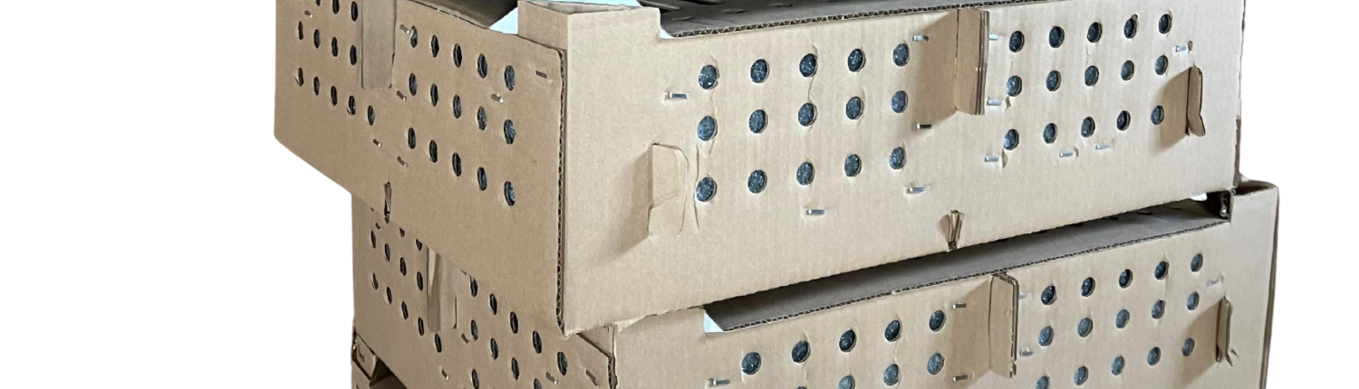 Chick Boxes