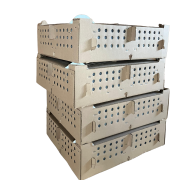 Chick Boxes